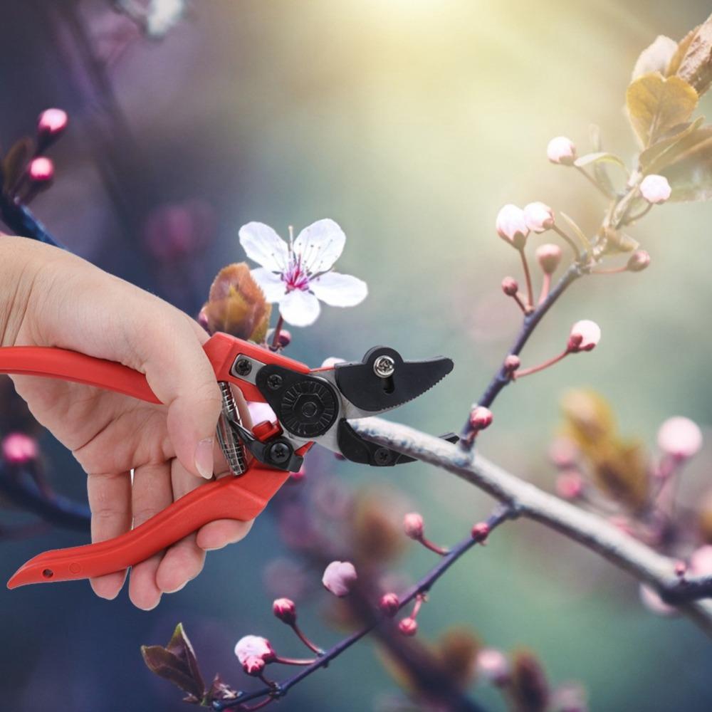 Red Garden Scissors Hand Operated Picking Scissors Professional Bonsai Pruner