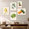 Vintage Retro Fruit Poster Avocado Strawberry Scandinavian Canvas Painting Wall Art Pictures Prints for Kitchen Room Decor