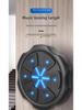 Bluetooth Smart Music Boxing Wall Target for Home Training