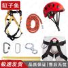 High-Altitude Safety Training 8-Piece Kit