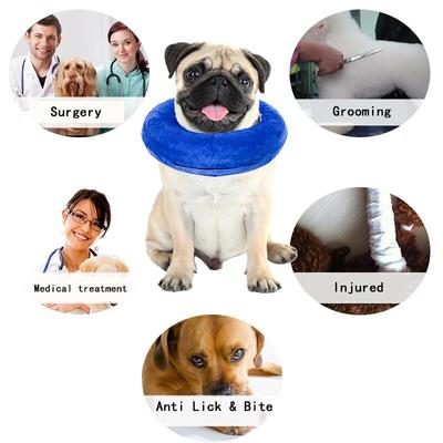 Hunde – Varer til hundepleje