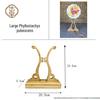 Chinese Bamboo Wood Fan Stand: Ancient-Style Round Fan Holder for Bridal or Palace Fans