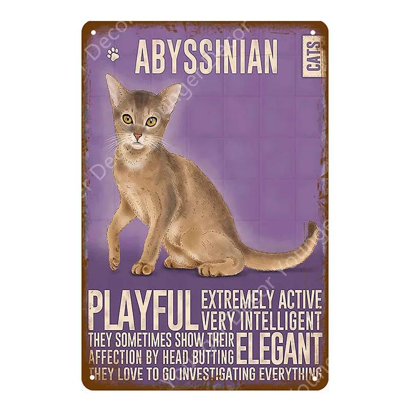 

Animal Dog Cat Vintage Metal Poster Home Decor Retro Tin Sign For Pub Bar Club Decorative Plate Poodle Wall Plaque 20x30cm（7.8x11.8inch）