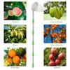 Raccoglitore di Frutta con Palo Telescopico Raccoglitore di Frutta in Metallo Giardinaggio Frutteto Strumenti per la Raccolta di Mele e Pesche Raccoglitore di Frutta da Giardino Raccolta