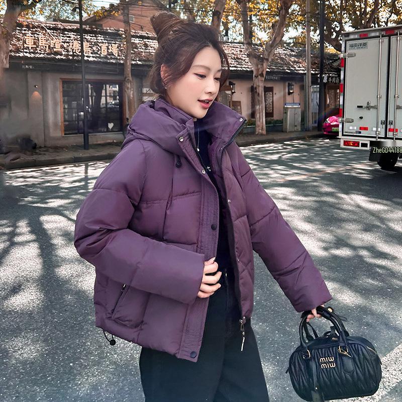 High-End Fashion Petite Down Jacket—Hooded, Thickened, Age-Reducing Women's Winter Wear 2025