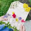 Flower Leaf Collector Board Handcrafts Wood Flower Arrangement Support Table Display for Indoor Use Valentines Gift