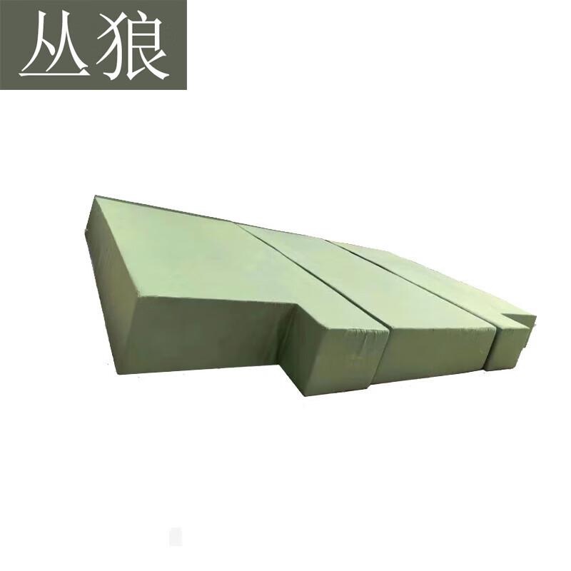 Conglang Professional High Jump & Pole Vault Landing Mats