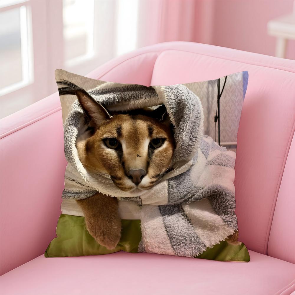 Floppa Cat Meme Cushion Cover Premium Comfort Reversible Pillow Cove -Two in One Design for Any Room & Car Interior