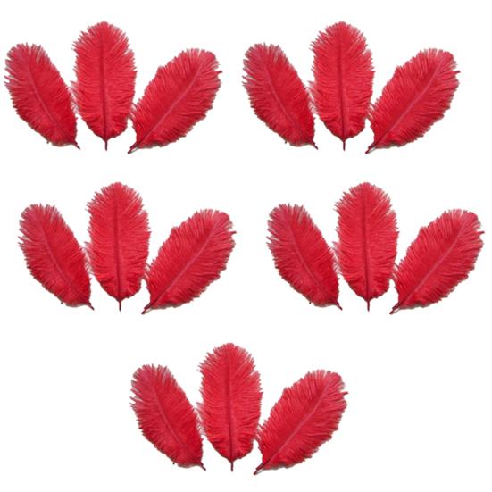 15 Pcs Natural Ostrich Feathers Colored Soft Feather for Clothes Wedding Decor