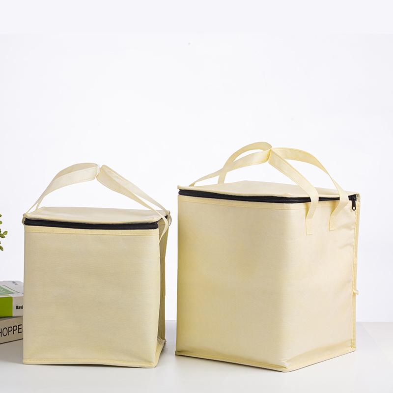 Insulated Takeaway Cooler Bag for Ice Cream, BBQ Grilled Fish, and Seafood