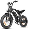 ESKUTE V202 Off-road Electric Bike, 48V 20.8Ah Long-Range Battery, Dual Suspension