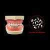 28Pcs/Set Dental Endodontic Teeth Model Full Mouth Root Canal Practice Study Model Endo Teeth Block Training Study Resin Replace
