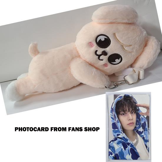 Stray Kids SKZOO Plüschtasche celebrATE ( mit POB von FANS)
