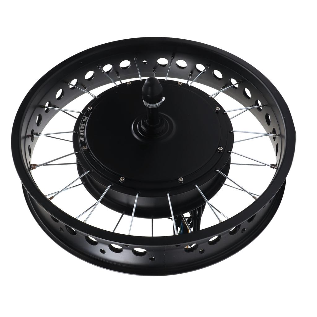 20 Inch 48V 1000W Rear Wheel Electric Cycle Motor Conversion Kit with S866 LCD Display for Electric