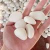 200/400g White High Polished Pebble 2-3cm Size Landscape Materials Natural Decoration Rocks  Garden Bonsai Fish Tank Pebbles ZYF