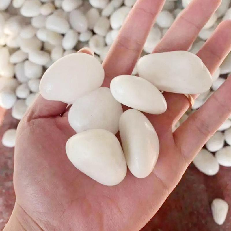 200/400g White High Polished Pebble 2-3cm Size Landscape Materials Natural Decoration Rocks  Garden Bonsai Fish Tank Pebbles ZYF