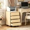 Compact Drawer Cabinet, Mobile Rolling Cabinet, Practical Filing Cabinet (only with Filing Cabinet)