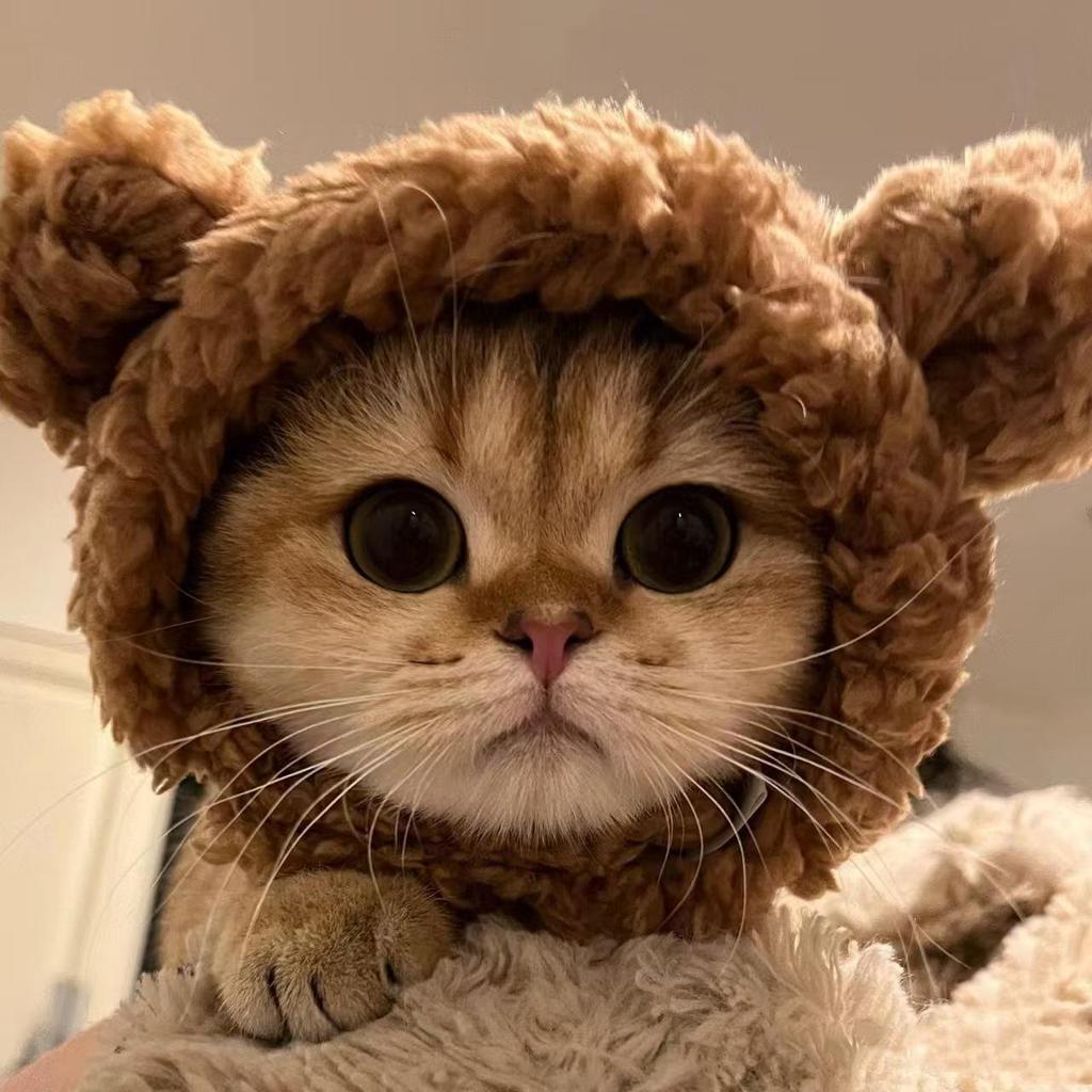 Funny Lion Wig for Cats & Dogs - Cute Halloween Costume Hat