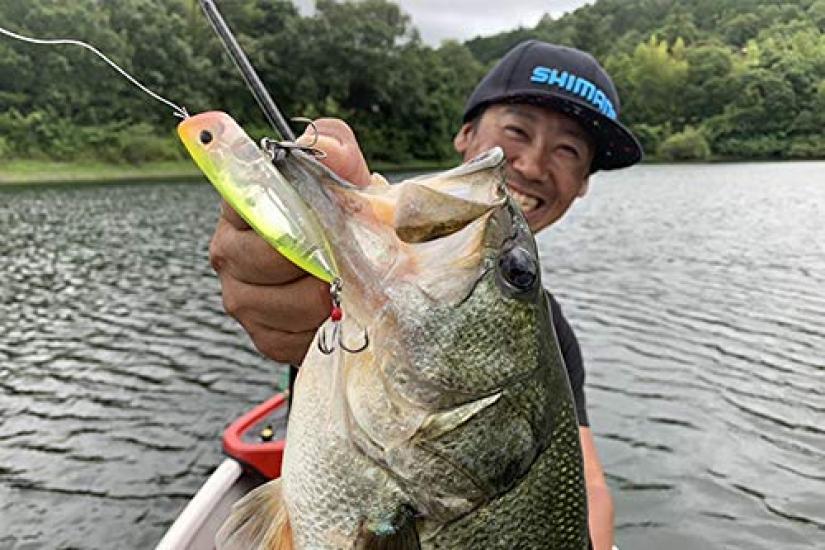 Shimano Bantam World Pop 69F Flash Boost Ghost Ayu 006 Freshwater Popper Lure for and Rivers ZR-P69U Bass, Lakes, Dams, Ponds,