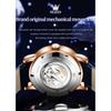 OLEVS New Business and Leisure Watch Automatic Mechanical Starry Sky Second Dial Luminous Men's Watch