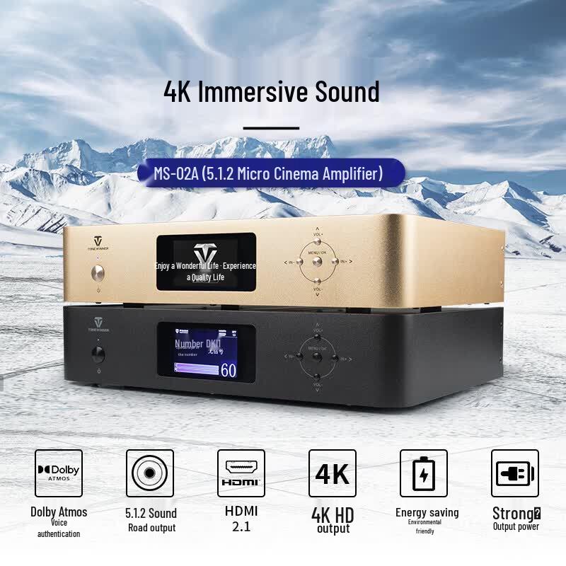 HiVi D3.1 5.1-Channel Home Theater System with MS02A Speakers (CN version)