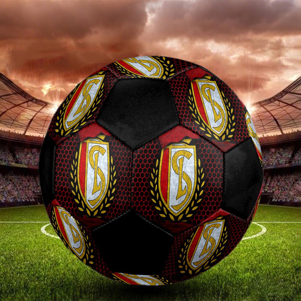 SIZE 5 Standard Liège Soccer Ball Colorful All Ages Machine Stitched PVC Competition Ready Durable High-Bounce