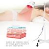 275W Infrared Heating Therapy Lamp Floor Stand Muscle Pain Relief Skin Care Light
