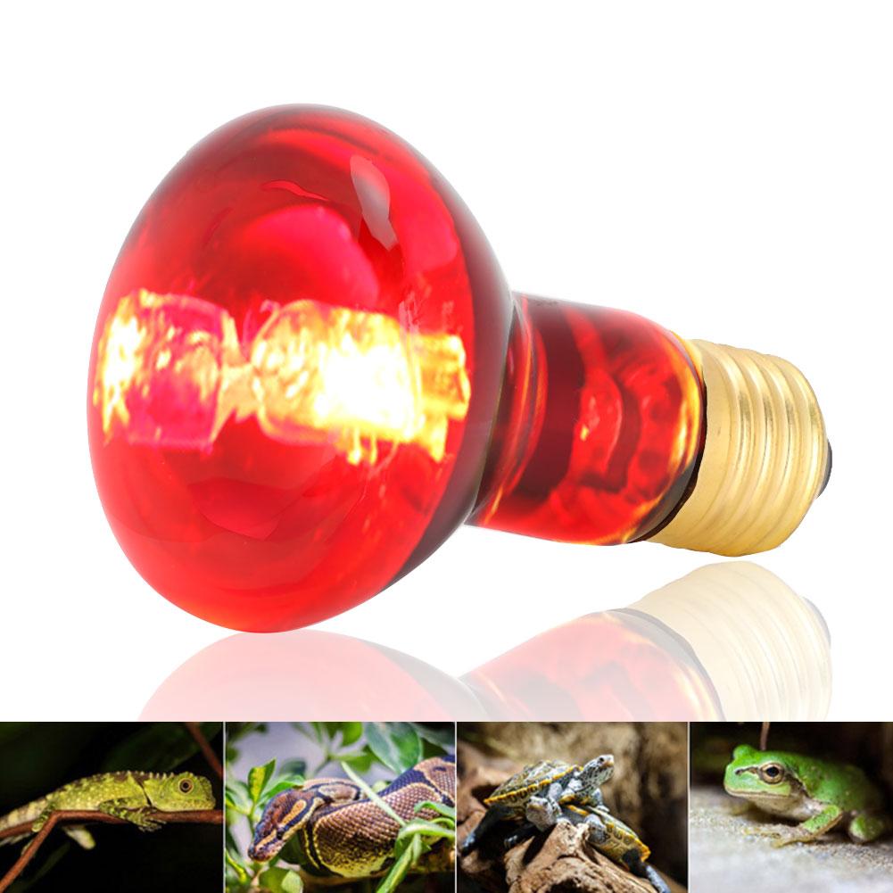 E27 R63 Infrarot Reptilien Glühbirne Tier Haustier Heizlicht Lampe Glühbirne für Schildkröte Schlange 60W