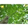 Nikon Single Focus Lens AF-S NIKKOR 35mm f/1.4g Full Size Compatible
