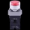 Illuminated Push Button Switch CN Plug (adapter Included)