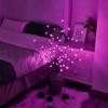 1 PC branch light battery powered 20 LED light strings home DIY decoration, warm white or color without battery