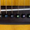 Ebony Guitar Bridge Pins with Bridge Pin Puller Set Bass Guitar Bridge Pegs Stringed Instruments String Nail Remover