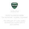 Vicks Inhaler Keychain 0.5 Ml Pack of 1 Quick Relief Nasal Inhaler for Blocked Nose