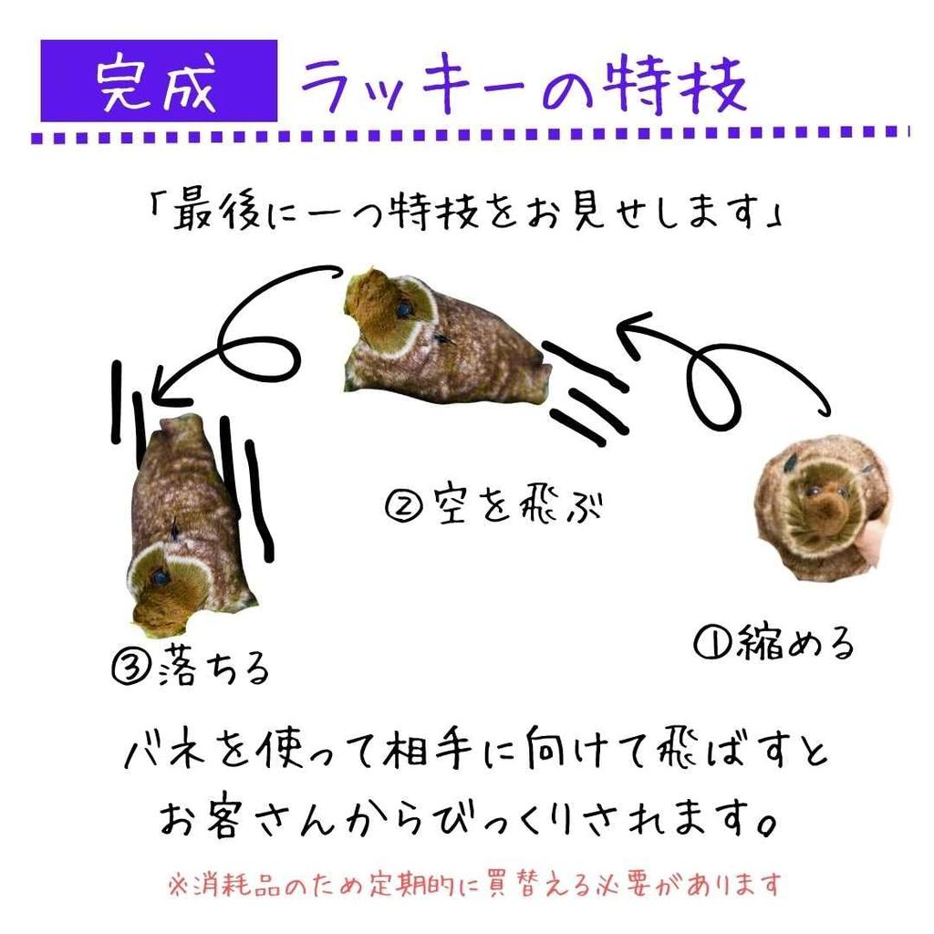 Magic Raccoon Spring Pet Magic Cute Raccoon Plush Toy Tricks, Lucky-kun, Maggie, Trick, Animal,