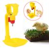 4pcs Plastic Chicken Water Drinking Cups Hen Bird Automatic Drinker Feeder Drink Tools
