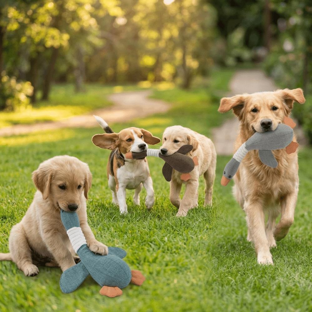 Gänseförmiges Gänse-Haustierspielzeug Plüschoberfläche Hunde-Kauspielzeug Katzen-Mahlzahnspielzeug Zahnreinigung