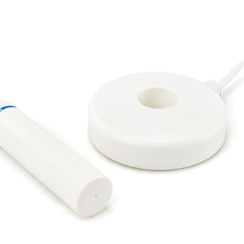 Dental Cordless Wireless Gutta Percha Obturation System Endo Heated Pen with 2 Tips