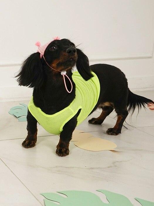 

GRAY CEREAL Logonacity-Fluorescent Yellow S