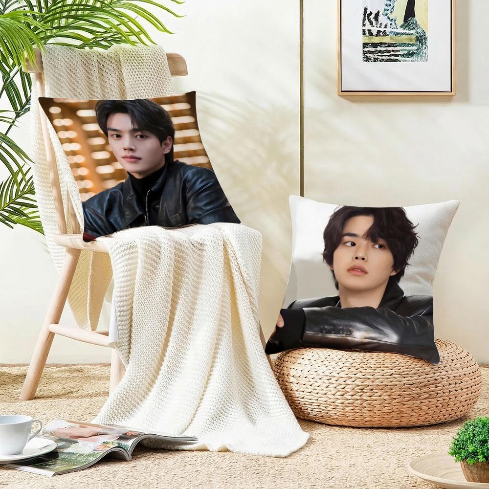 KKorean actor Song KangS Cushion Cover Breathable and skinfriendly linen pillowcase square removable and washable cushion