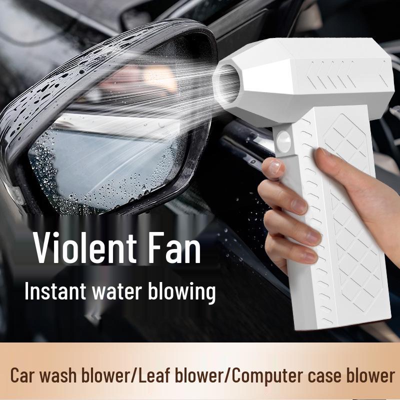 Powerful Brushless Turbo Hair Dryer & Household Dust Blower