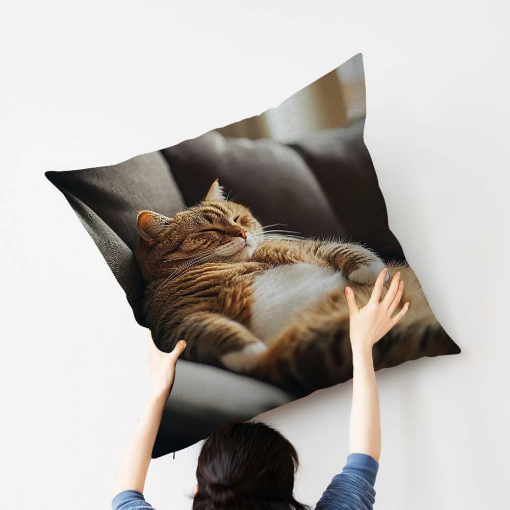 Cat Cute Kitten Stitch Lucky Dragon pillow cover sofa cushion cover home room decoration children gift