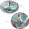 Winter Squirrel Playing Comfortable Hut Sleeping Warm Bunkbed Hamster Bed Pet Tent Parrot Hammock