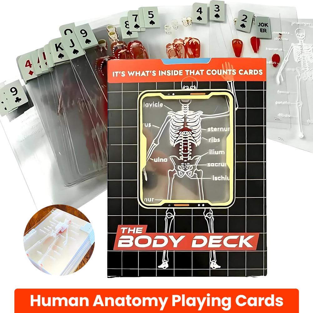 

3D Image Educational Cards Reusable Funny Anatomy Poker Multi-Purpose Body Transparent Playing Cards for Card Collectors China Mainland