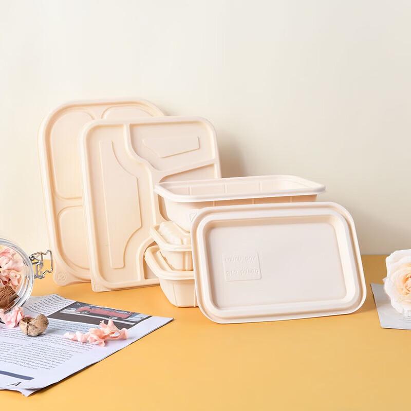 Biodegradable Disposable Square Food Containers