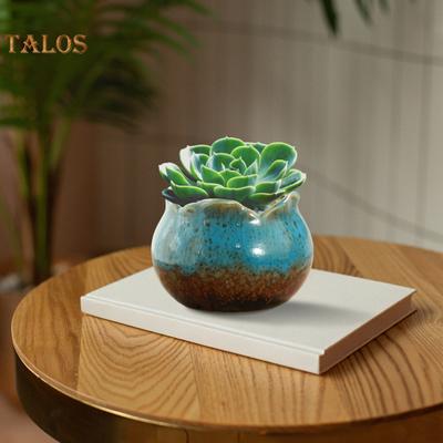 Plant Pot Smooth Edge Decorative Reusable Useful Flower Succulent Planter Garden Decor Supplies
