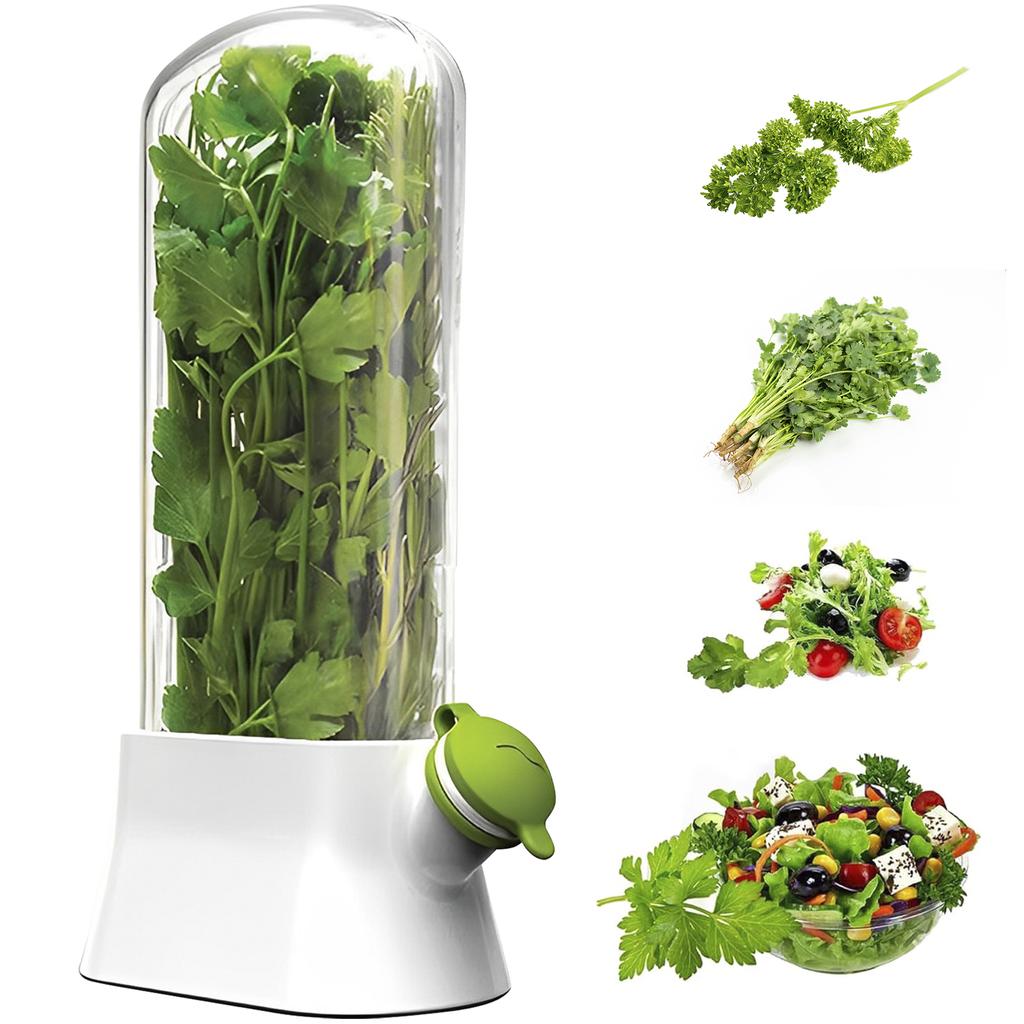 Herb Saver for Refrigerator Tall Shape Herb Keeper with Clear Window Cilantro Containers Fresh Herb Keeper Herb Saver Container