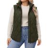 New Women's Stand Collar Quilted Padded Vest, Sleeveless Zipper Short Cotton Waistcoat, Fall Winter Outerwear