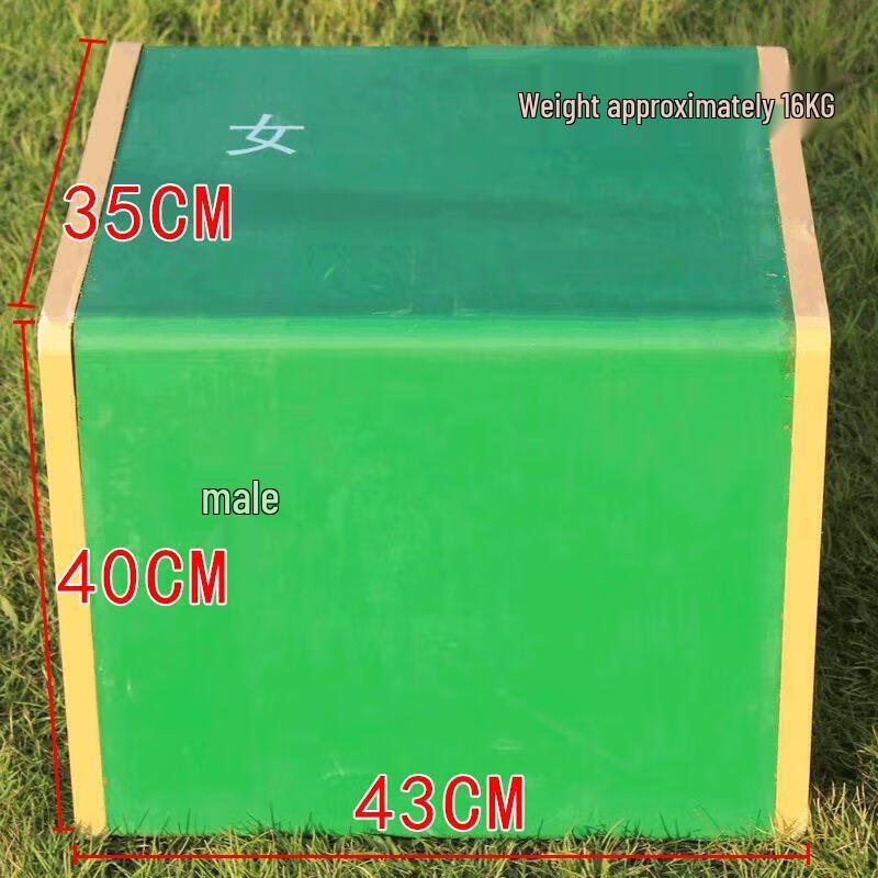 Zhanming Physical Fitness Assessment Equipment