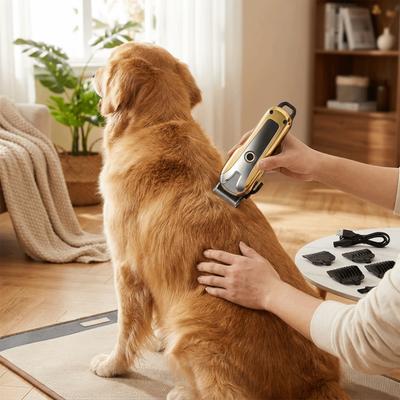 Hunde – Fellpflegeartikel für Hunde