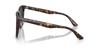 Sunglasses 0RB2206D HAVANA DARK GREY Asian Fit Polarized [Ray-Ban] 710/8757